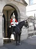 The Horses and the Guards sit in a Zen-like trance.