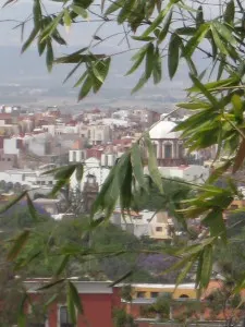 San Miguel de Allende