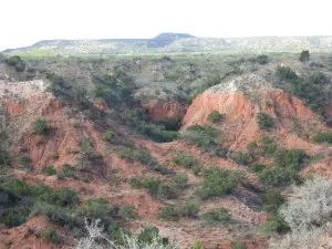 Caprock Canyon
