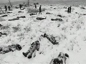 Aftermath of Wounded Knee Massacre.